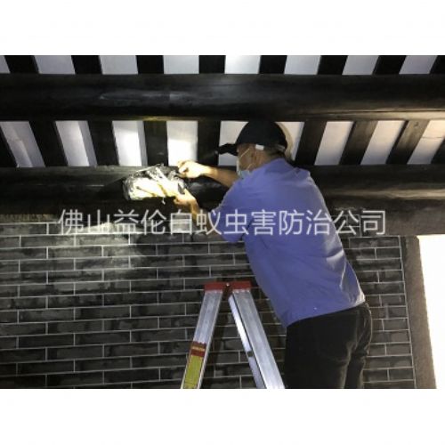 和顺祠堂杀灭白蚁工程