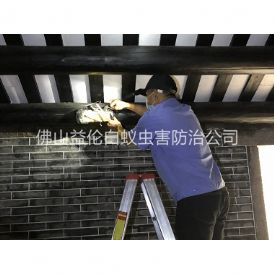 和顺祠堂杀灭白蚁工程