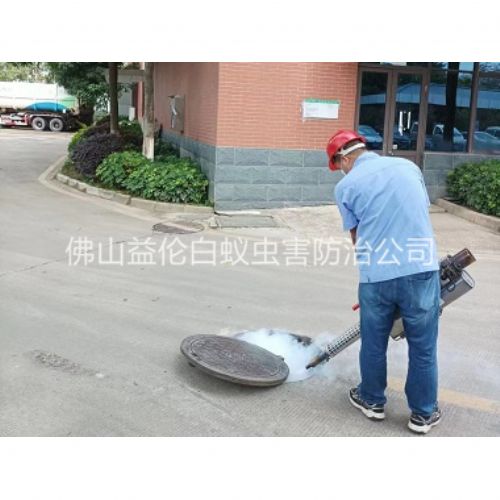 里水杀灭蟑螂蚊蝇工程